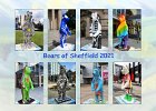 Judy Smith - Bears of Sheffield 2021.jpg